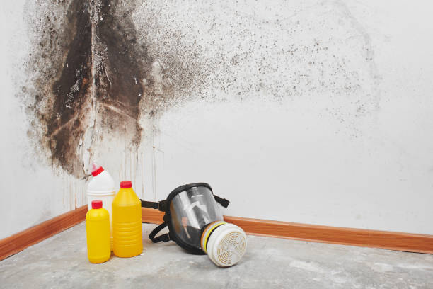 Best Mold Remediation  in Mitchellville, IA