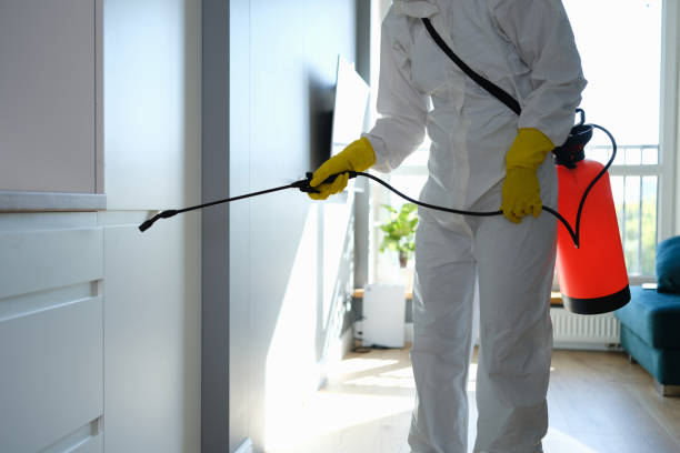 Mold Removal and Inspection in Mitchellville, IA