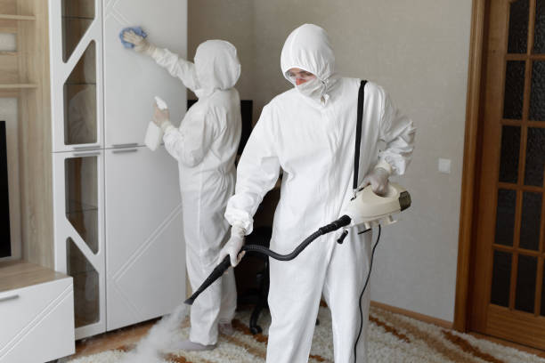 Best Certified Mold Removal  in Mitchellville, IA