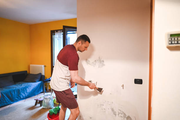Best Mold Cleaning Services  in Mitchellville, IA
