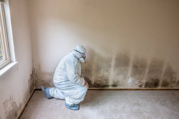 Best Emergency Mold Removal  in Mitchellville, IA